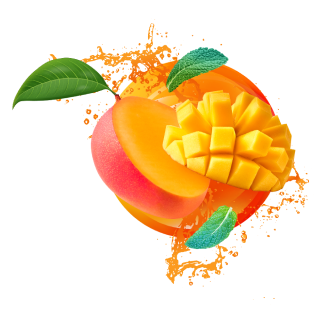 Тропик Клик