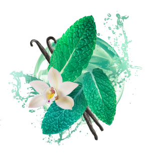 Ванилла Минт