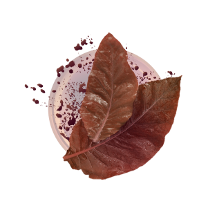 Крими Тобакко