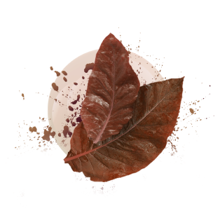 Классик Тобакко