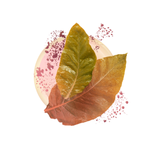 Классик Тобакко