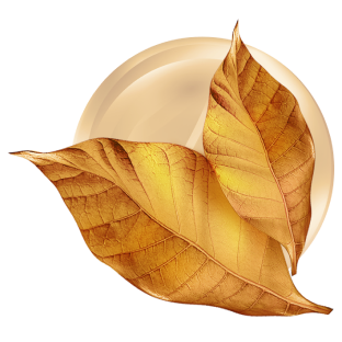 Брайт Тобакко