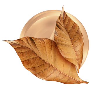 Рич Тобакко